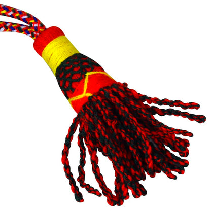vidaXL Cornemuse écossaise Great Highland Tartan rouge Royal Steward