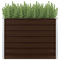 vidaXL Jardinière surélevée Marron 100x100x77 cm Acier galvanisé