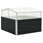 vidaXL Serre Anthracite 100x100x77 cm Acier galvanisé
