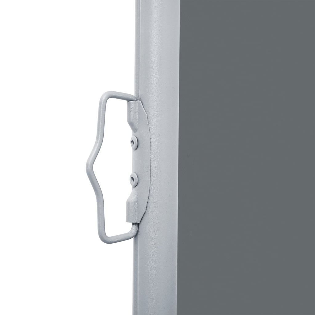 vidaXL Auvent latéral rétractable Anthracite 120 x 600 cm