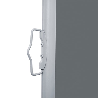 vidaXL Auvent latéral rétractable Anthracite 120 x 600 cm