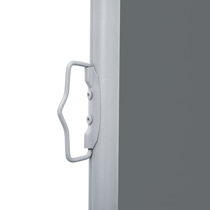 vidaXL Auvent latéral rétractable Anthracite 120 x 1000 cm