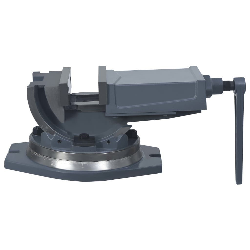 vidaXL Étau inclinable à 2 axes 160 mm
