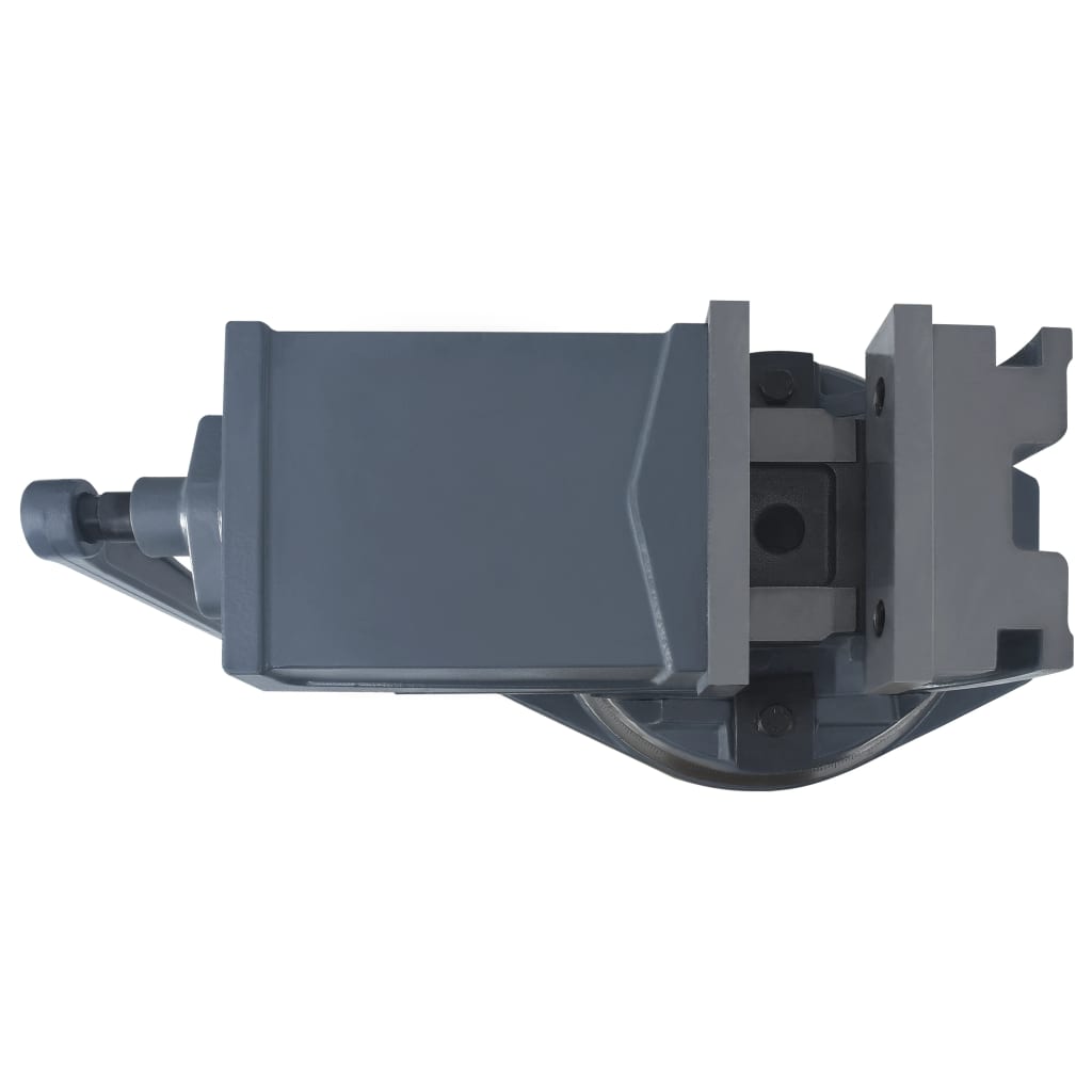 vidaXL Étau inclinable à 2 axes 160 mm