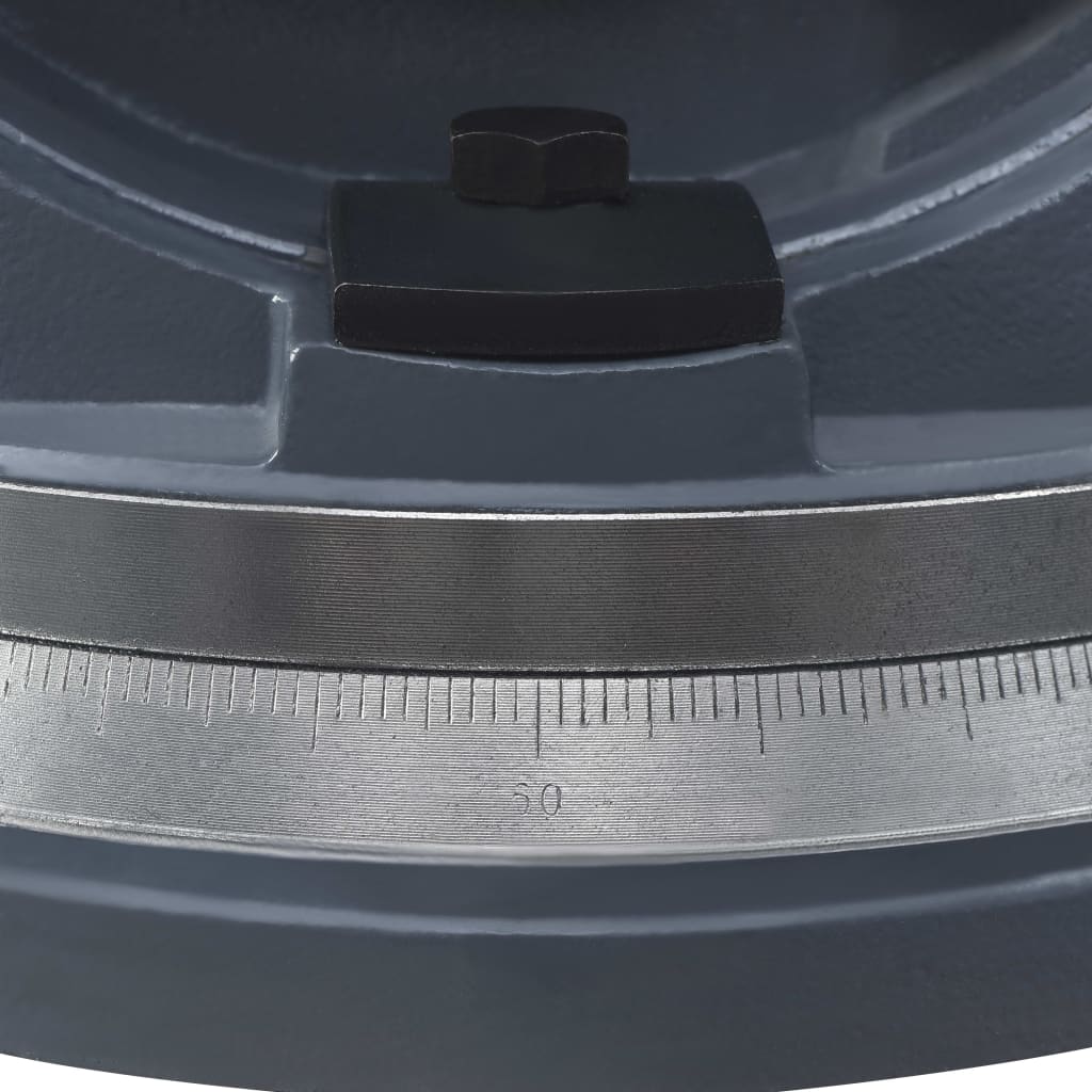 vidaXL Étau inclinable à 2 axes 160 mm