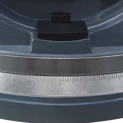 vidaXL Étau inclinable à 2 axes 160 mm