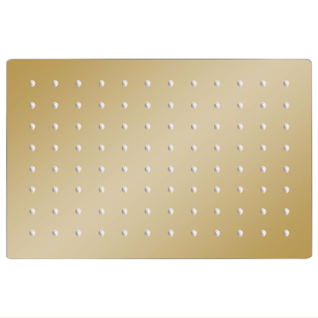 vidaXL Pomme de douche pluie Inox 30x20 cm Rectangulaire Doré