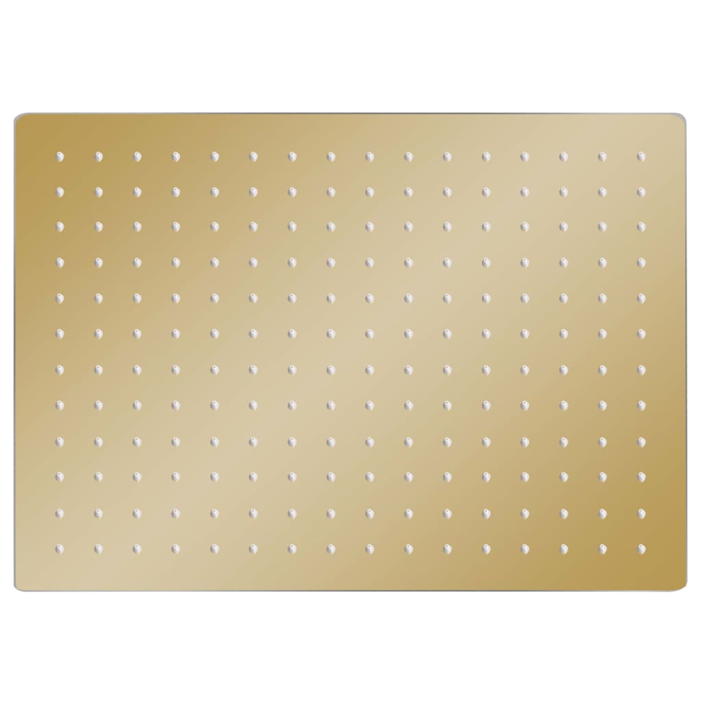 vidaXL Pomme de douche pluie Inox 40x30 cm Rectangulaire Doré