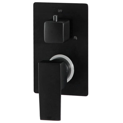 vidaXL Système de douche Acier inoxydable 201 Noir