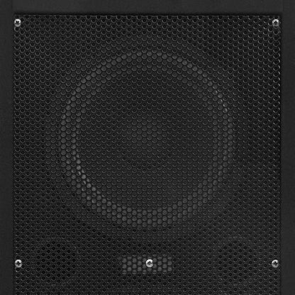 vidaXL Haut-parleurs de scène passives professionnelles Hifi 2pcs noir