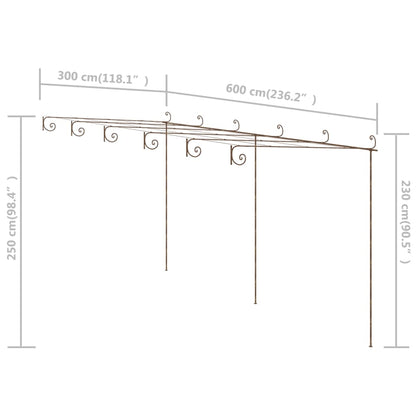 vidaXL Pergola de jardin Marron antique 6x3x2,5 m Fer