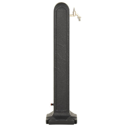 vidaXL Réservoir de jardin avec robinet Anthracite Aspect de pierre