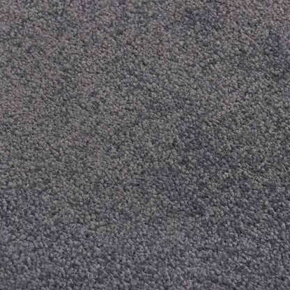 vidaXL Paillasson Anthracite 40x60 cm