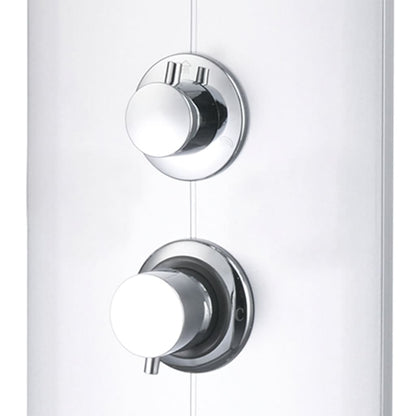 vidaXL Panneau de douche 25x43x110 cm Argenté