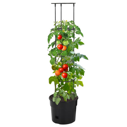 vidaXL Jardinière à tomate Anthracite Ø29,5x115 cm Polypropylène