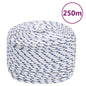 vidaXL Corde de bateau Blanc 6 mm 250 m Polypropylène