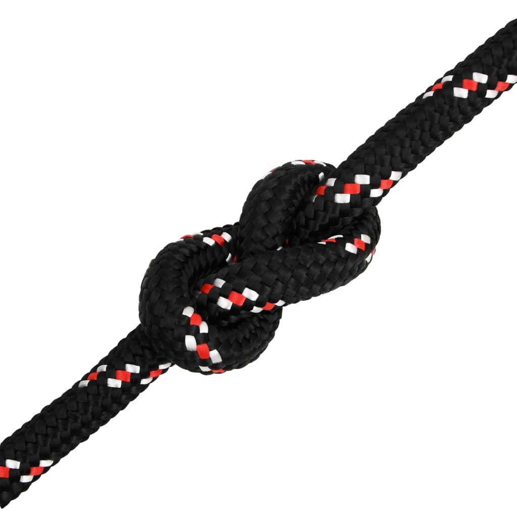 vidaXL Corde de bateau Noir 20 mm 25 m Polypropylène