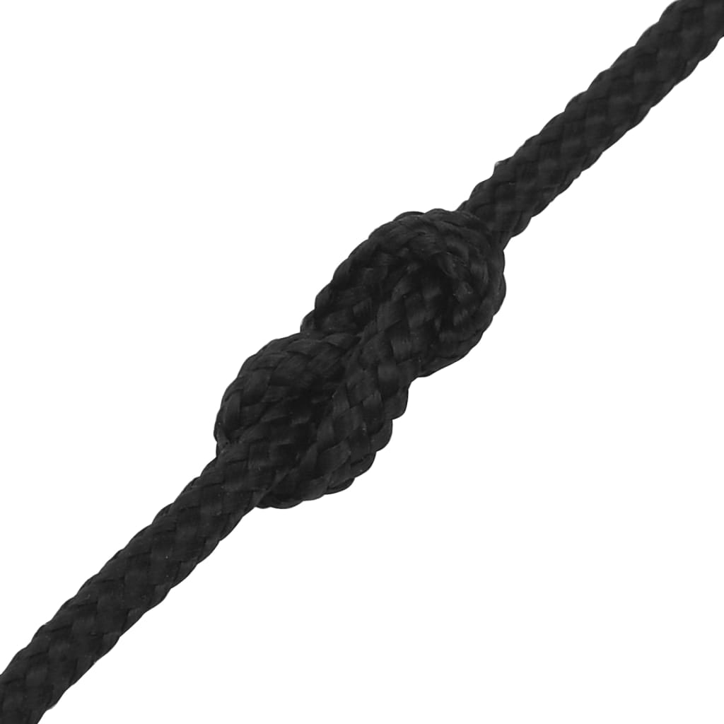 vidaXL Corde de bateau Noir complet 2 mm 250 m Polypropylène