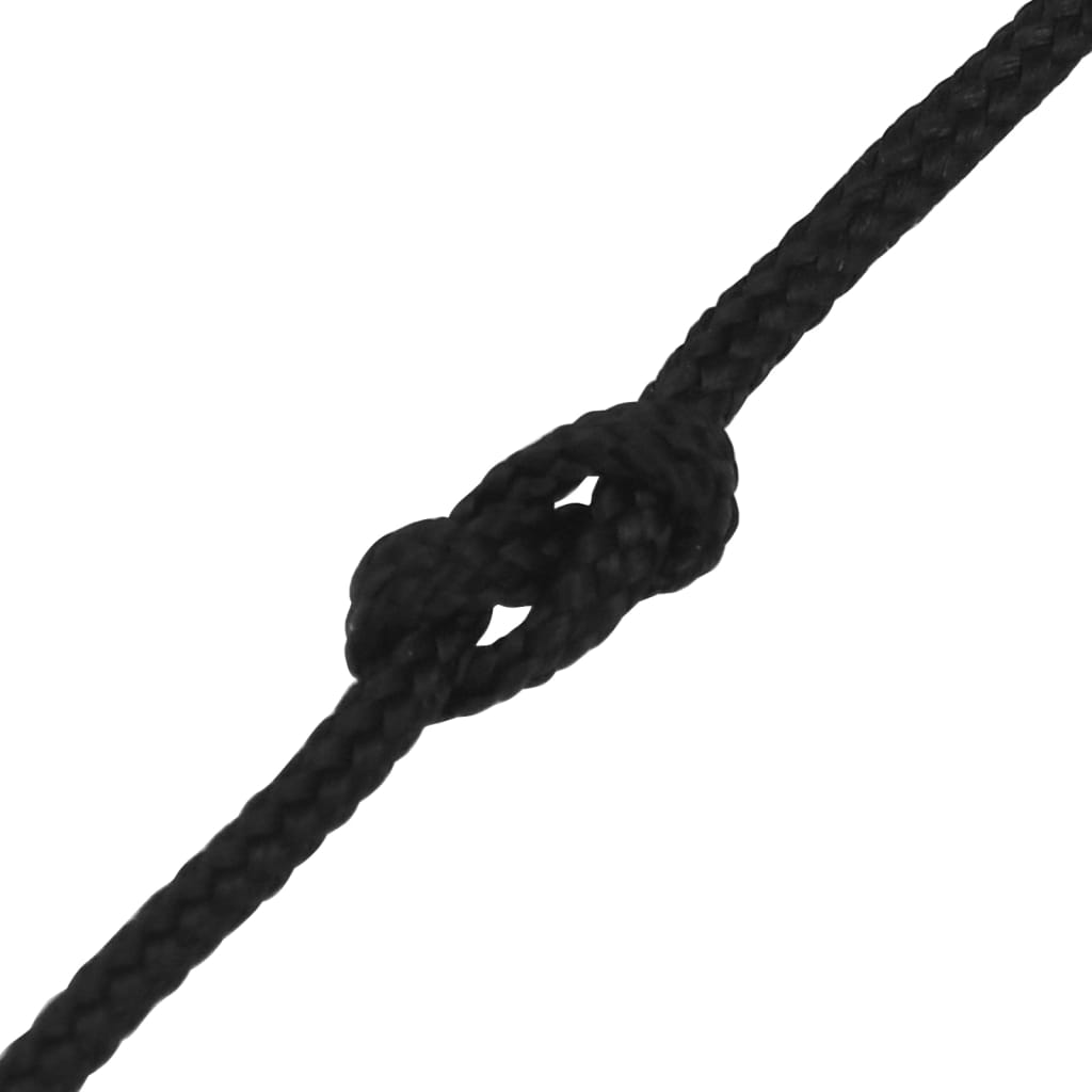 vidaXL Corde de bateau Noir complet 3 mm 100 m Polypropylène