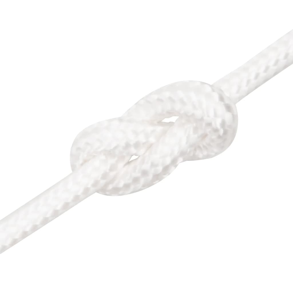 vidaXL Corde de bateau Blanc complet 6 mm 100 m Polypropylène