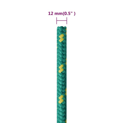 vidaXL Corde de bateau Vert 12 mm 250 m Polypropylène