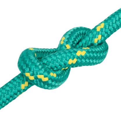 vidaXL Corde de bateau Vert 20 mm 100 m Polypropylène
