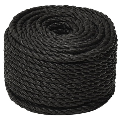 vidaXL Corde de travail Noir 10 mm 25 m polypropylène