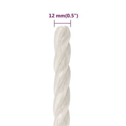 vidaXL Corde de travail Blanc 12 mm 100 m polypropylène