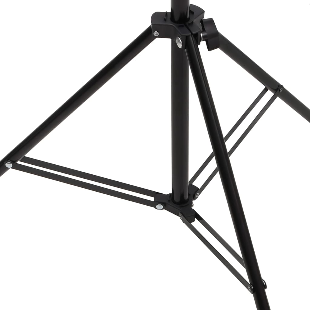 vidaXL Support de fond en forme de T Noir 151x60x(70-200) cm