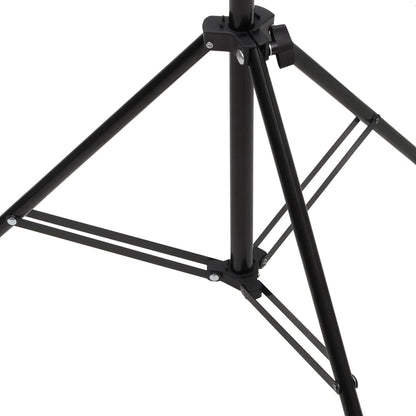 vidaXL Support de fond en forme de T Noir 151x60x(70-200) cm