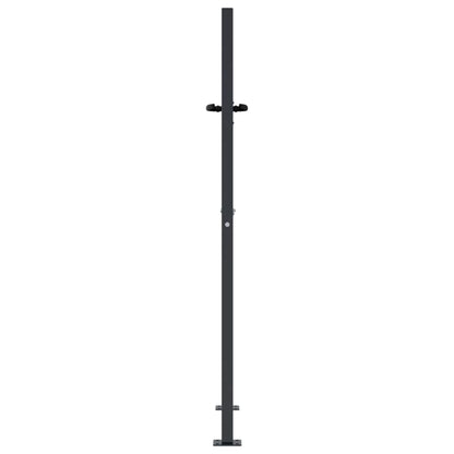 vidaXL Portail de jardin anthracite 105x155cm acier conception d'herbe