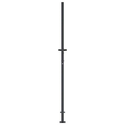 vidaXL Portail de jardin anthracite 105x180cm acier conception d'herbe