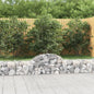 vidaXL Paniers à gabions arqués 9 pcs 200x30x40/60 cm Fer galvanisé
