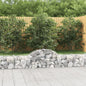 vidaXL Paniers à gabions arqués 13 pcs 200x30x40/60 cm Fer galvanisé