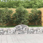 vidaXL Paniers à gabions arqués 18 pcs 200x30x40/60 cm Fer galvanisé