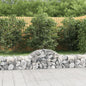 vidaXL Paniers à gabions arqués 40 pcs 200x50x40/60 cm fer galvanisé