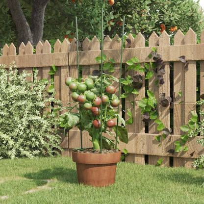 vidaXL Supports pour plantes de jardin 3 anneaux 5pcs Vert 60 cm Acier