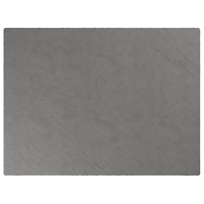 vidaXL Couverture lestée avec housse Gris 152x203 cm 11 kg Tissu