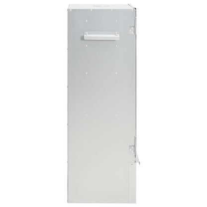 vidaXL Fumoir à four à barbecue avec copeaux de bois 44,5x29x83 cm