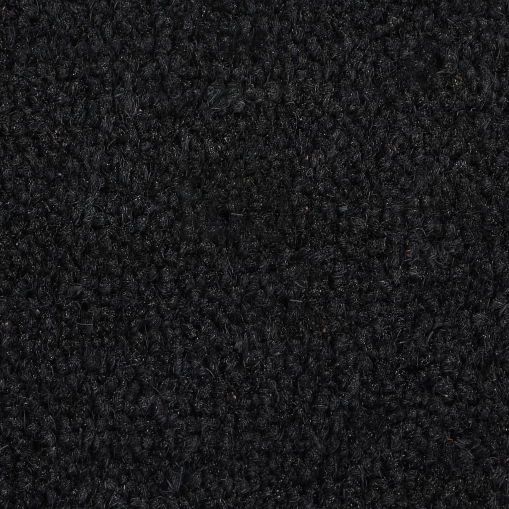 vidaXL Tapis de porte noir 50x80 cm fibre de coco touffeté