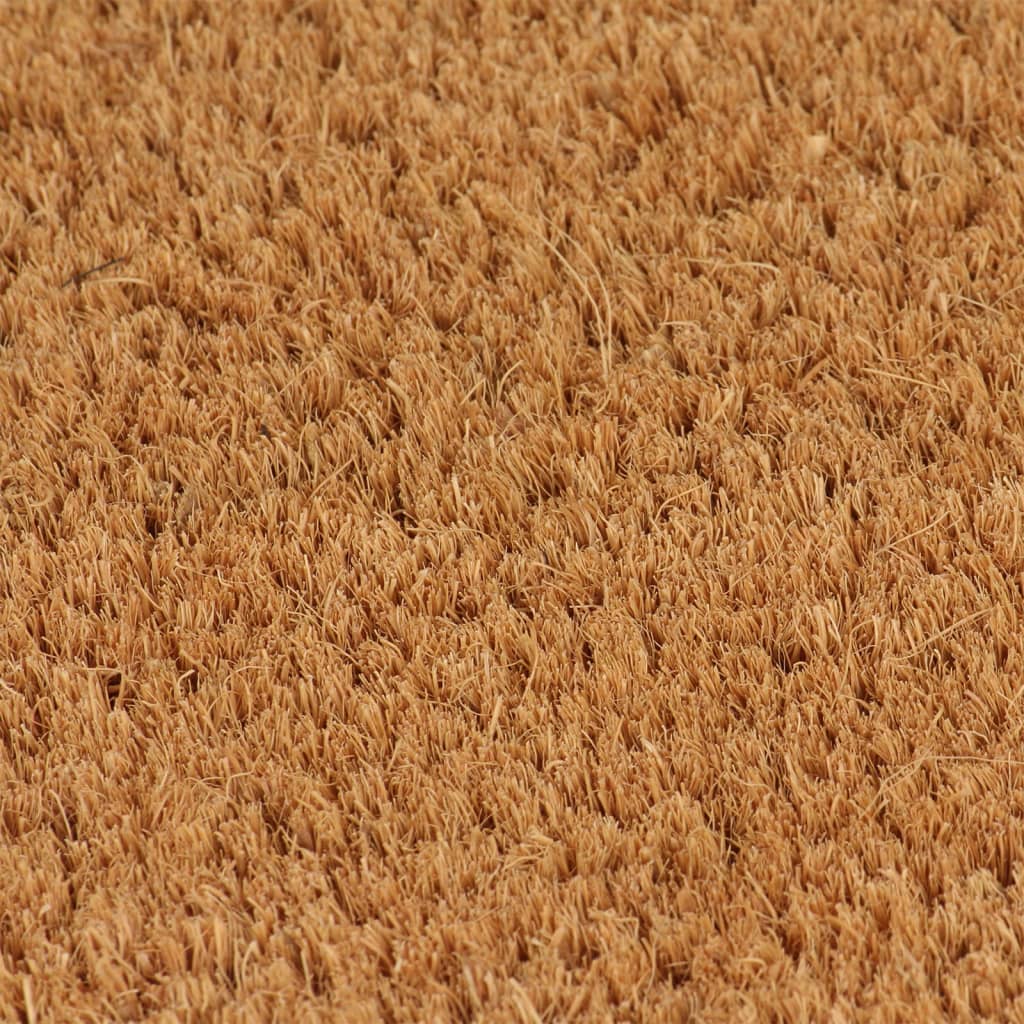 vidaXL Tapis de porte 5 pcs naturel 40x60 cm fibre de coco touffeté