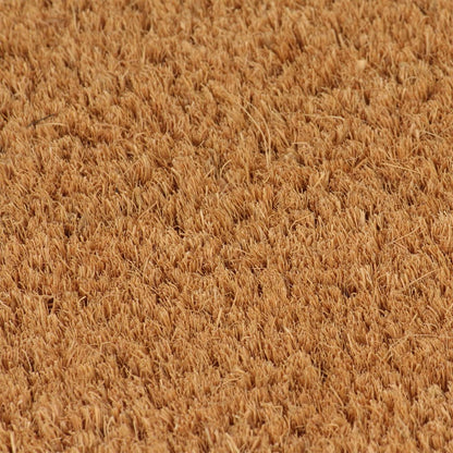 vidaXL Tapis de porte 5 pcs naturel 40x60 cm fibre de coco touffeté