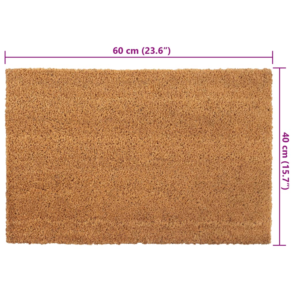 vidaXL Tapis de porte 5 pcs naturel 40x60 cm fibre de coco touffeté
