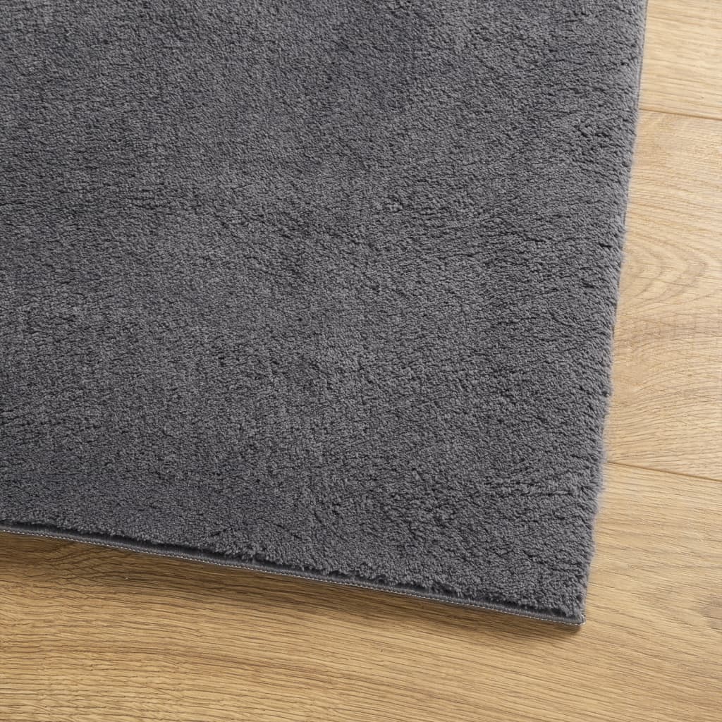 vidaXL Tapis HUARTE à poils courts doux et lavable anthracite 80x200cm