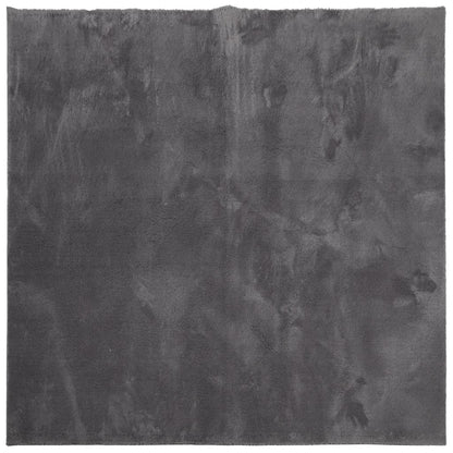 vidaXL Tapis HUARTE à poils courts doux lavable anthracite 240x240 cm
