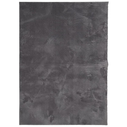 vidaXL Tapis HUARTE à poils courts doux lavable anthracite 240x340 cm