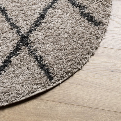 vidaXL Tapis shaggy à poils longs moderne beige et anthracite Ø 100 cm