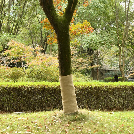 vidaXL Rouleau de jute 1x25 m 100 % jute 200 g/m²