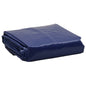 vidaXL Bâche bleu 1,5x2 m 650 g/m²
