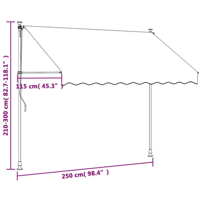 vidaXL Auvent rétractable anthracite 250x150 m tissu et acier
